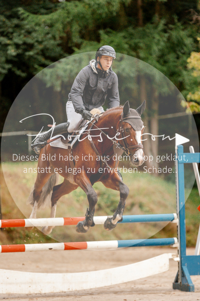 3I6A5519 | Stimmungsvolle Portraits und Reitsportfotografie im Ruhrgebiet und im Münsterland.

Pferdefotografie, Hundefotografie, Tierfotografie, Reportagen, Portraits von Tier und Mensch, Turnierfotografie in Bochum, Recklinghausen, Marl, Haltern am See, Dülmen.. - Realisiert mit Pictrs.com