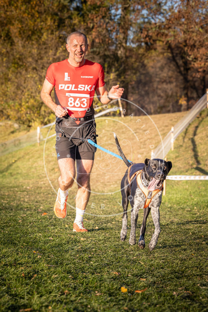 CaniXpix_0L8A1024 | Hundefotografie, Tierfotograf, Pfotenfotografie, Fotoshooting Hund, Hunde Portrait, Hundesport, Hundeportraits, Heideshooting, Hunde, Sportfotograf, Hundefotograf, Turnierhundsport, THS,  - Realisiert mit Pictrs.com