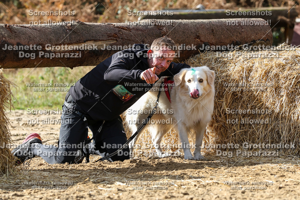 Dog Paparazzi - Strongdog 10-25-5549 | Dog Paparazzi Jeanette Grottendiek Fotografie & Videografie - Realisiert mit Pictrs.com