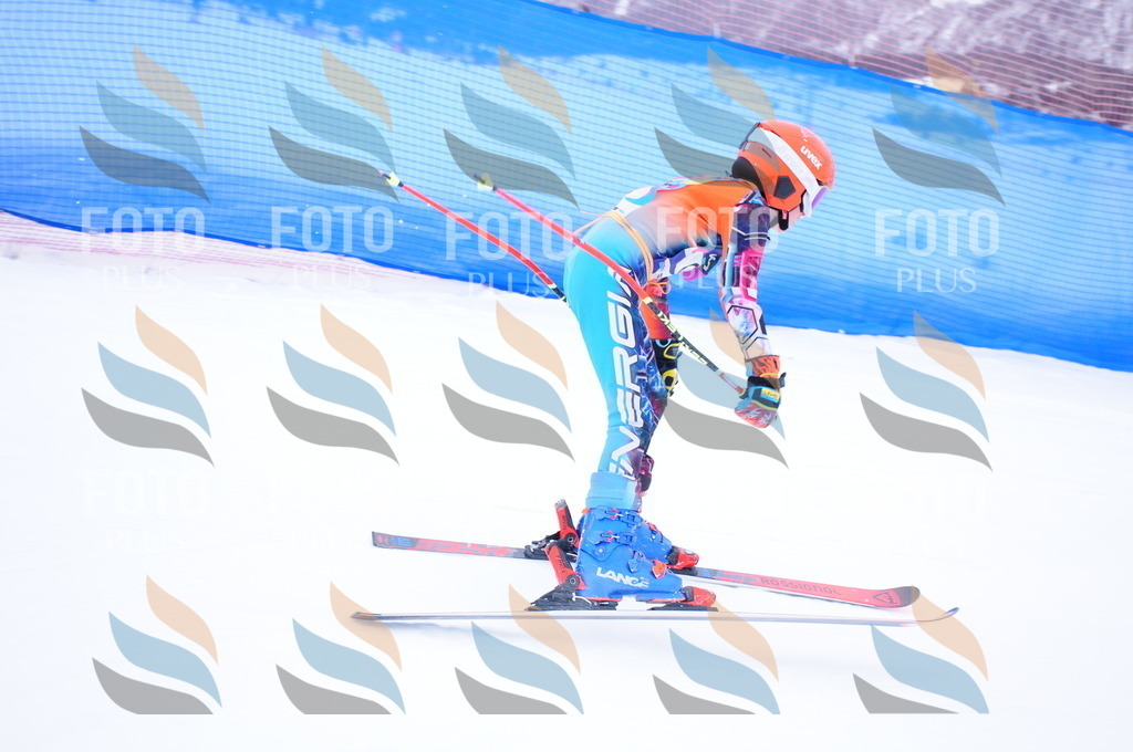 DSC_7503 | holidayphoto