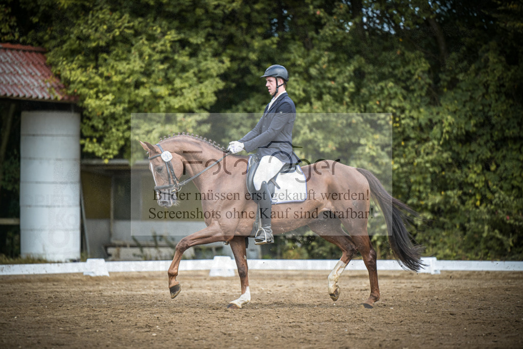 DOS_0407 | Entdecke hochwertige Reitturnierfotos von Foto Oger. Professionell, emotional und authentisch – jetzt Lieblingsmomente im Shop bestellen.Deutschlandweite Turnierfotografie. - Realisiert mit Pictrs.com