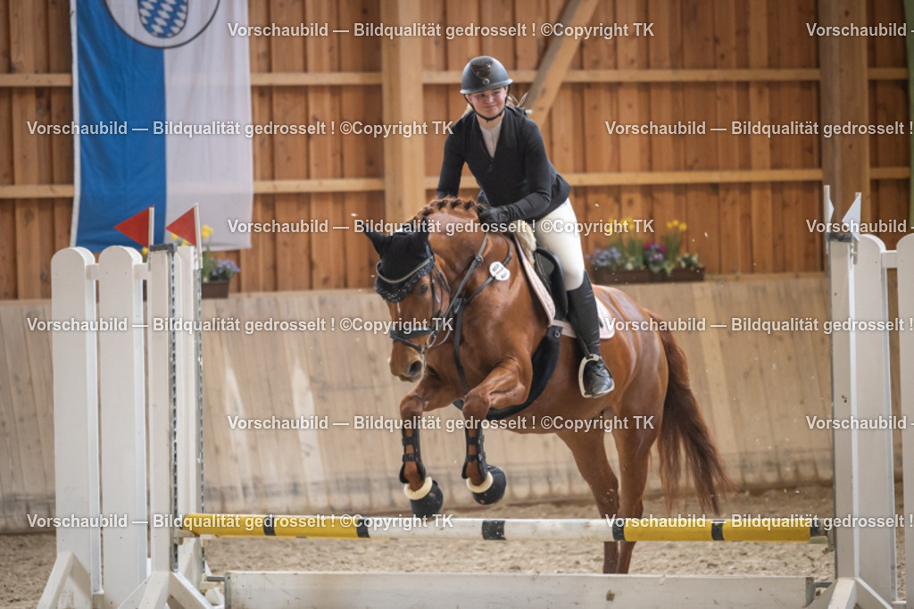 _D5A0100 | Emotionale Pferde- & People-Fotografie rund um Heidelberg, Leimen & Umgebung. Natürliche Fotos von Pferd, Mensch & Familie. Jetzt Termin sichern!