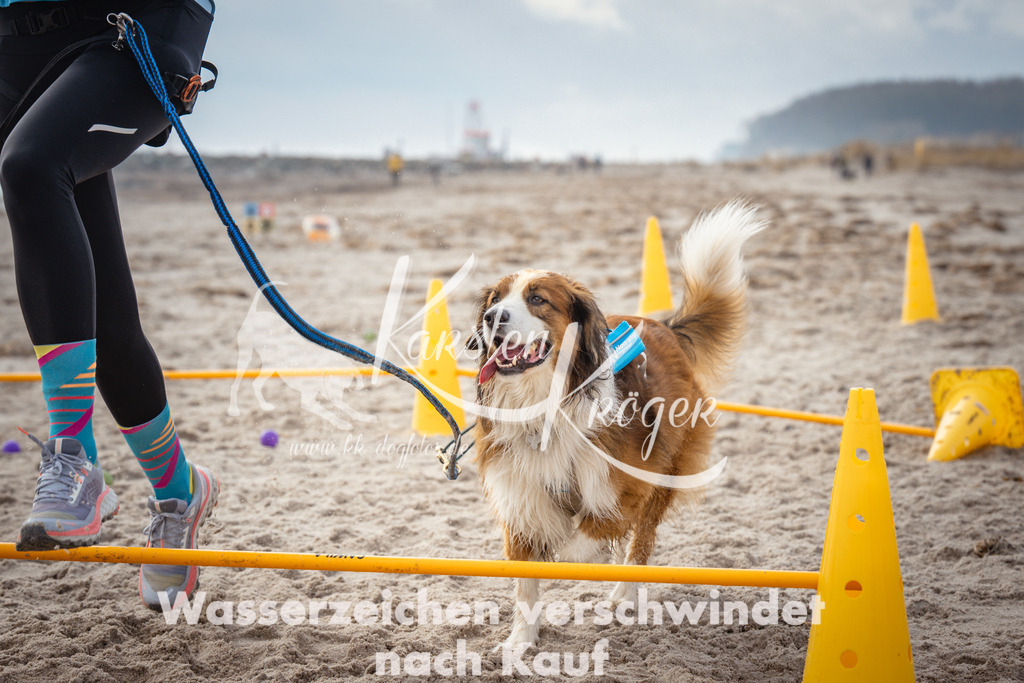 1153_ZZ92318 | kk-dogfotos