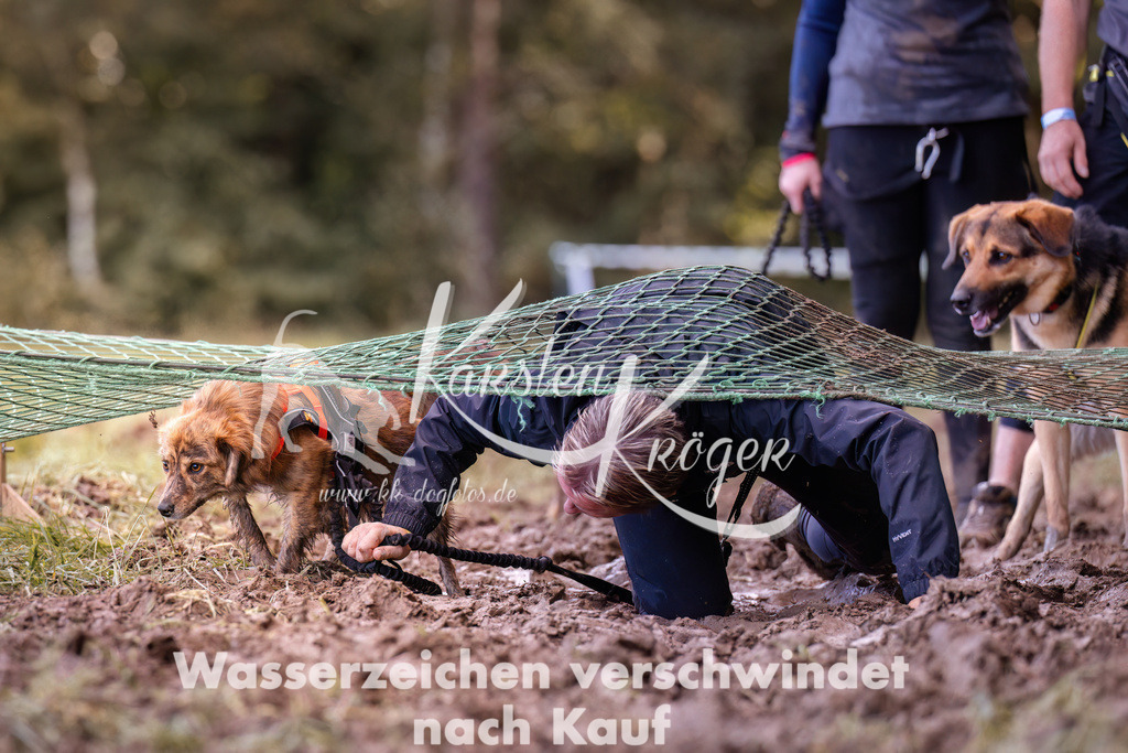 1253_ZZ91674 | kk-dogfotos