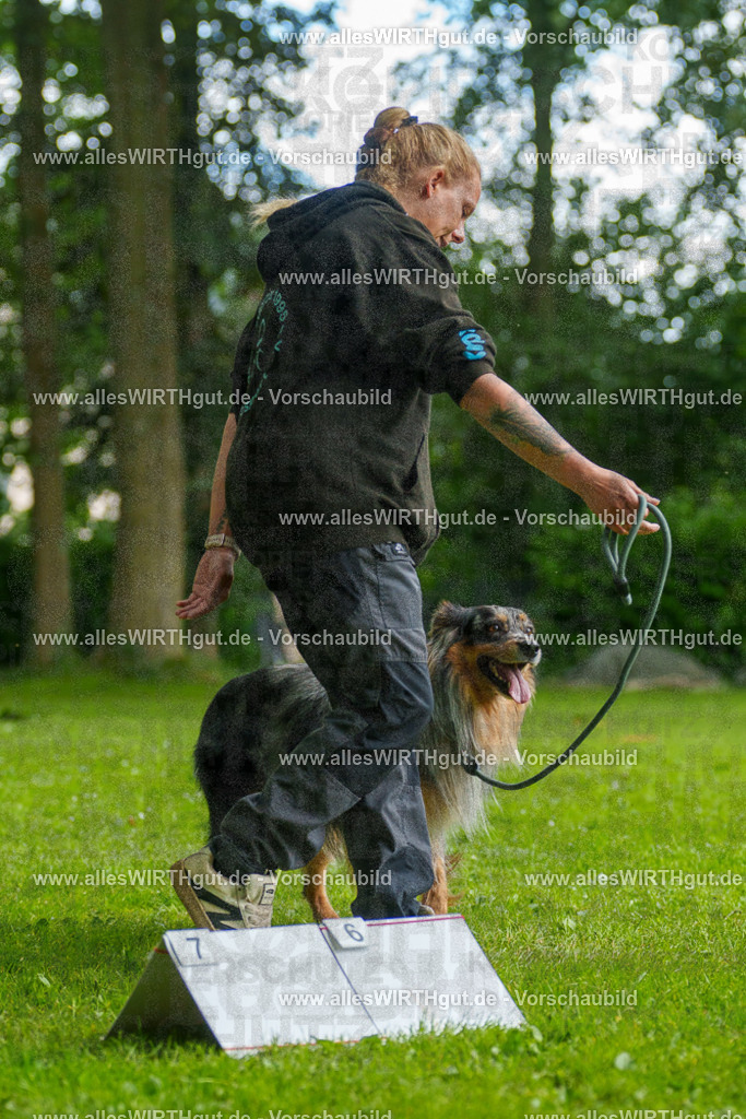 @allesWIRTHgut_Tierfotografie - www.allesWIRTHgut.de - 123357-7R509125 | Professionelle Tierfotografie in Mönchengladbach von Daniel Wirth (allesWIRTHgut). Liebevolle & natürliche Bilder von Hunden & Katzen für unvergessliche Erinnerungen.