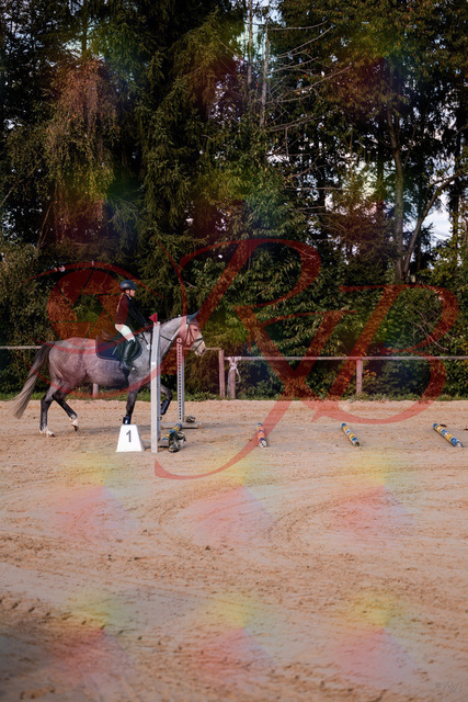 2026_10_03_Siefer-Hof_145033_Z81_28404917 | Professionelle Reitsport-, Turnier- und Eventfotografie von Robert Broda. Galerien mit ausgewählten und bearbeiteten Bildern direkt online ansehen und bestellen.