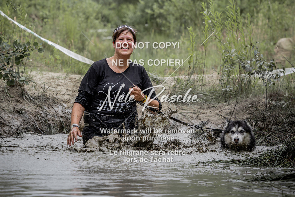 nelerasche_so1330-1400_443 | nelerasche