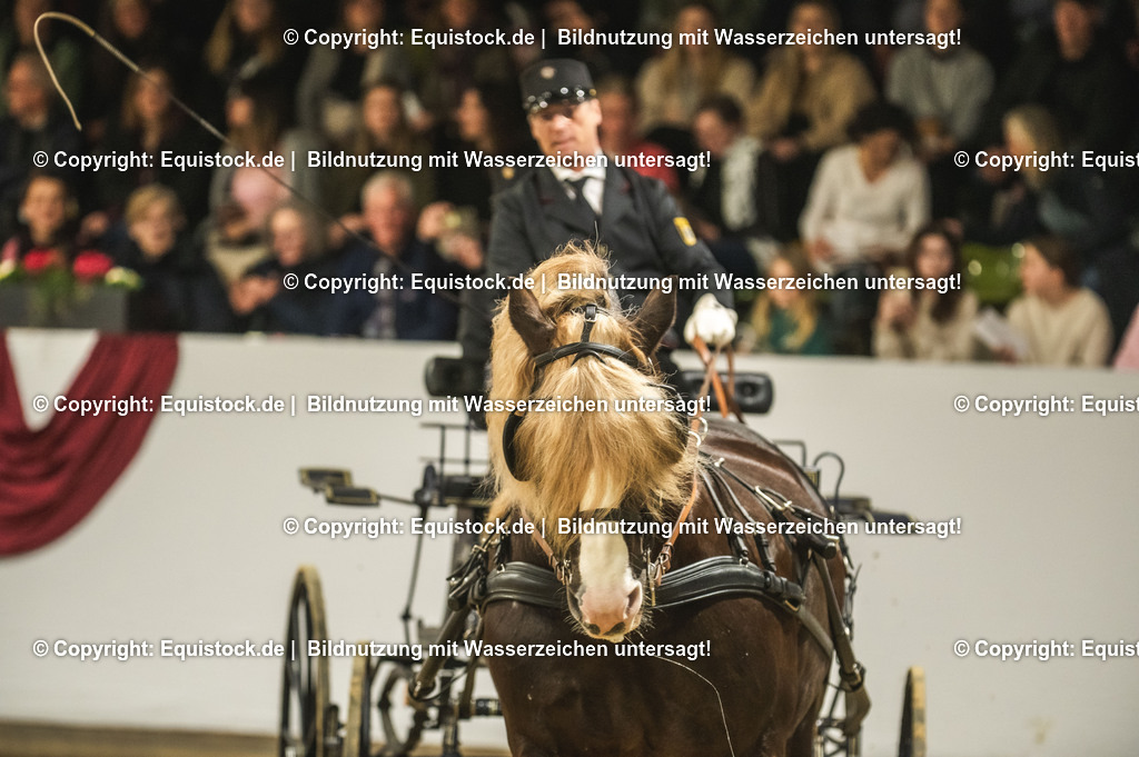 20240302_Hengstvorstellung_Marbach_TOMsPiC_0616-2 | equistock