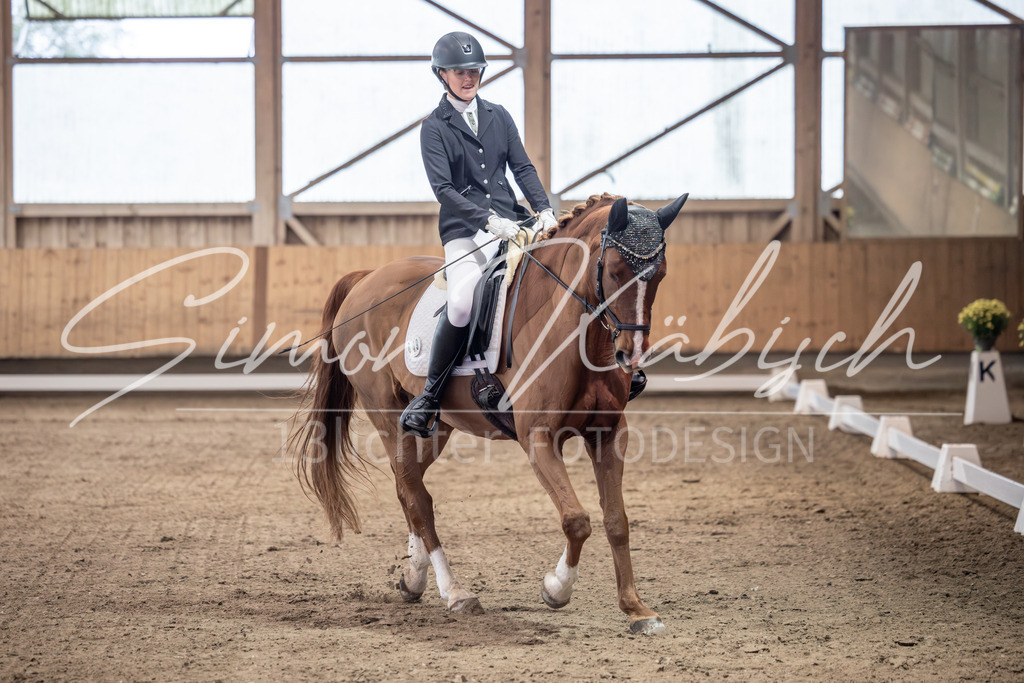 20251011-_3LI9637 | Tierfotografie Pferde, Hunde, Katzen, Haustiere.
Turnierfotografie Reitturniere, Reiten, Springreiten, Dressur in Hanau, dem Main-Kinzig-Kreis und dem Rhein-Main- Gebiet um Frankfurt