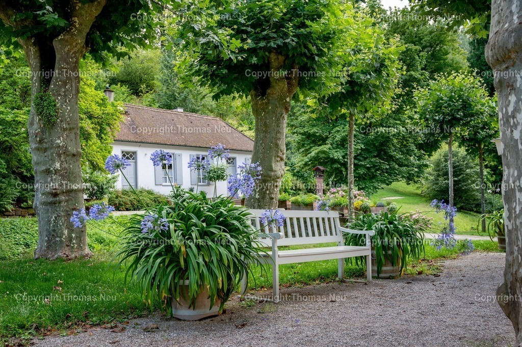 DSC_1684 | Der Staatspark Fürstenlager in Bensheim Auerbach, an der hessischen Bergstraße- ist ein wunderschöner Landschaftspark nach englischen Vorbild. Es war die Sommerresidenz der Darmstädter Fürstenfamilie die hier das "einfache Landleben" genossen. Zu jeder Jahreszeit kann man das Fürstenlager als Ausflugsziel empfehlen. Im Herrenhaus ist eine Gastronomie untergebracht. Im Sommer findet auf der Bühne vor der großen Wiese ein Opern-Air statt, 