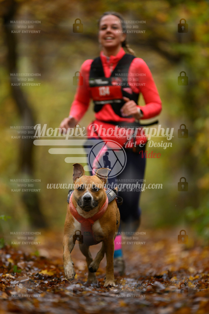 MompixPhotography_CD7S_DI_CCL-129 | mompixphotography