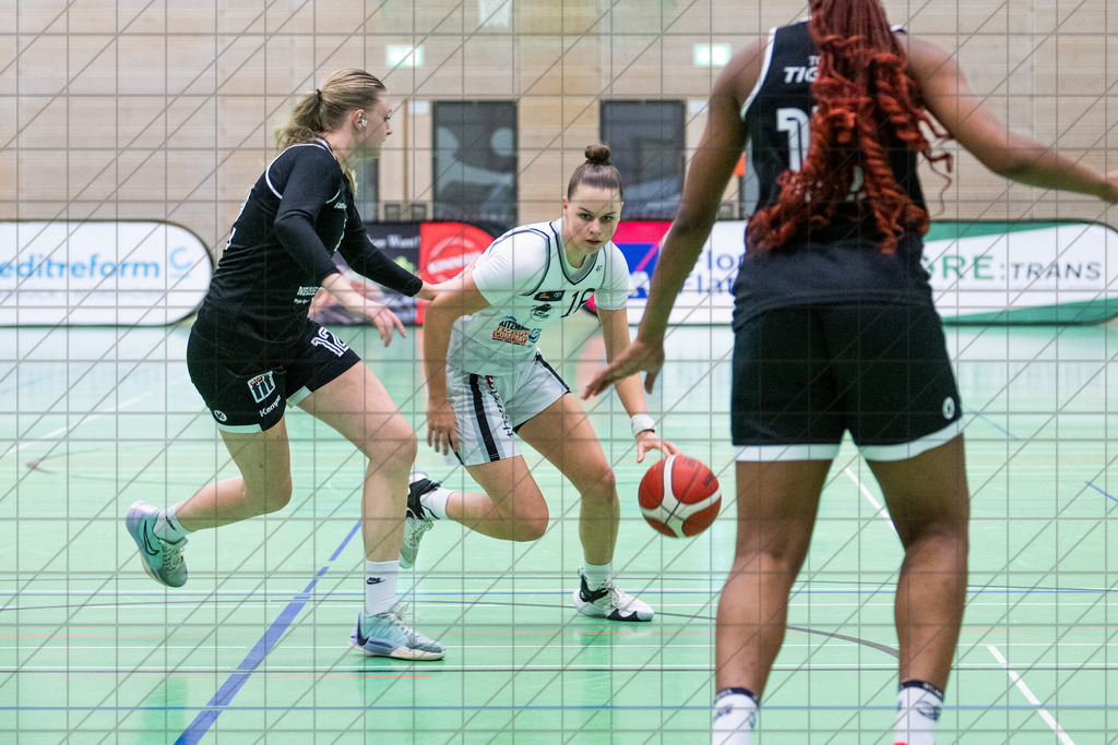 2. DBBL Nord 24/25 | 08.12.2024 | BBC OS vs. TG Neuss Tigers | 2. DBBL Nord 24/25 | 08.12.2024 | BBC OS vs. TG Neuss Tigers - - - - - CREDIT, www.bullenfotos.de, Martin König, Hörner Weg 40, D-49078 Osnabrück, +4917663732967, Nutzung und Weitergabe nur zu den vereinbarten Zwecken. Presseanfragen an Urheber. Alle Rechte beim Urheber. - - - - - - Realisiert mit Pictrs.com