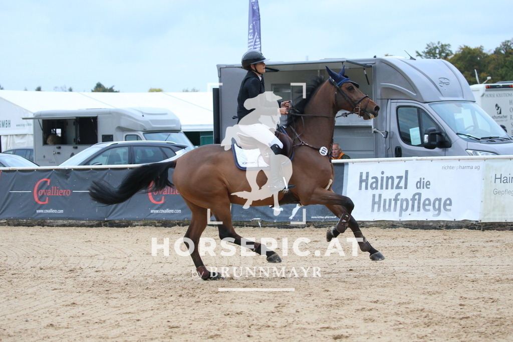 DL2Q6511 | Willkommen bei Brunnmayr - Design & Fotografie – Ihrem Spezialisten für Reitturniere und Pferdeveranstaltungen in Oberösterreich, Salzburg und Bayern! Seit über 17 Jahren sind wir leidenschaftlich dabei.