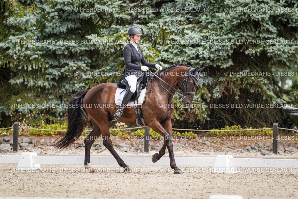 DSC03506 | Pferdegrafie