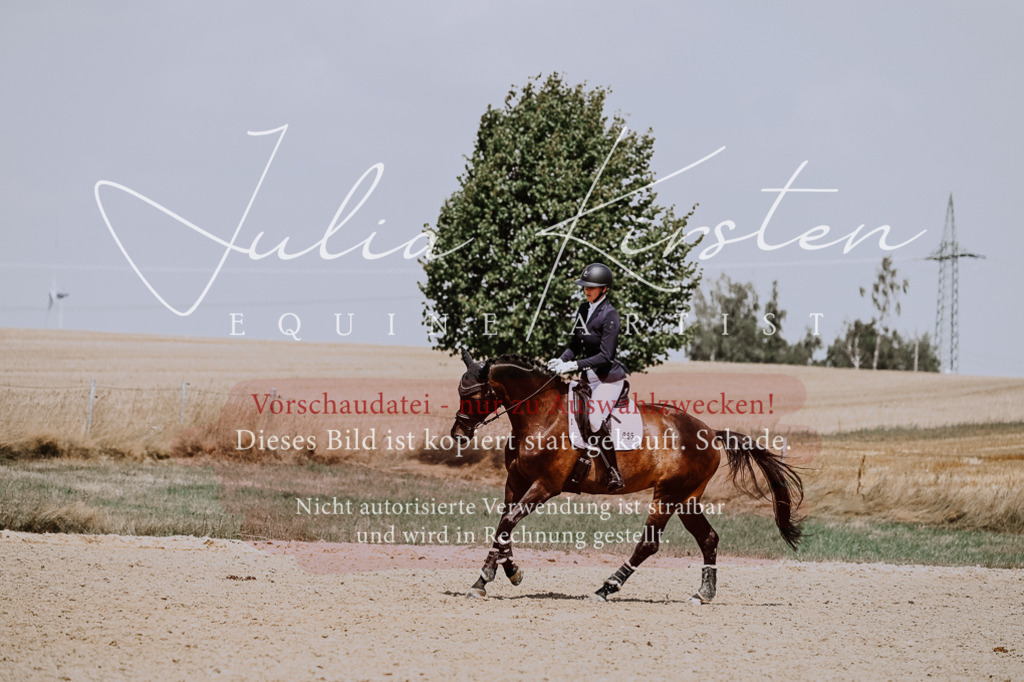 DSC_2688 | Pferde- und Turnierfotografie in Westsachsen. Pferdeportraits, Auftragszeichnungen und intuitive Kunst.
