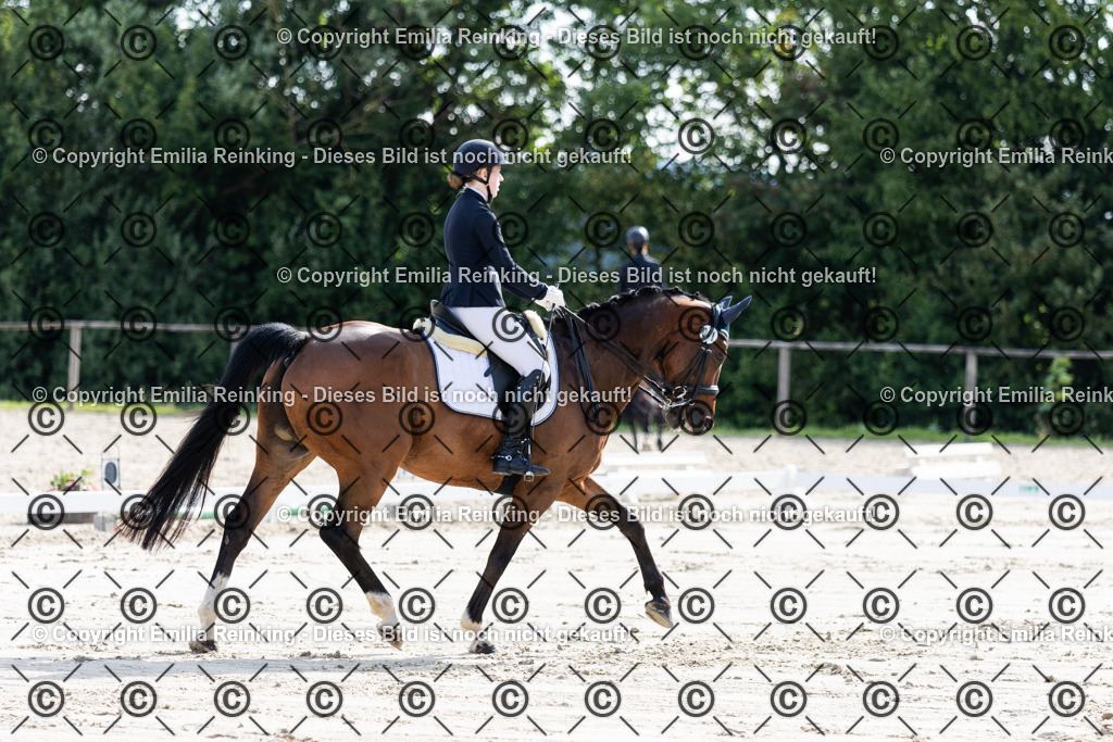 CL5A5601 | Emilia Reinking Fotografie - Realisiert mit Pictrs.com