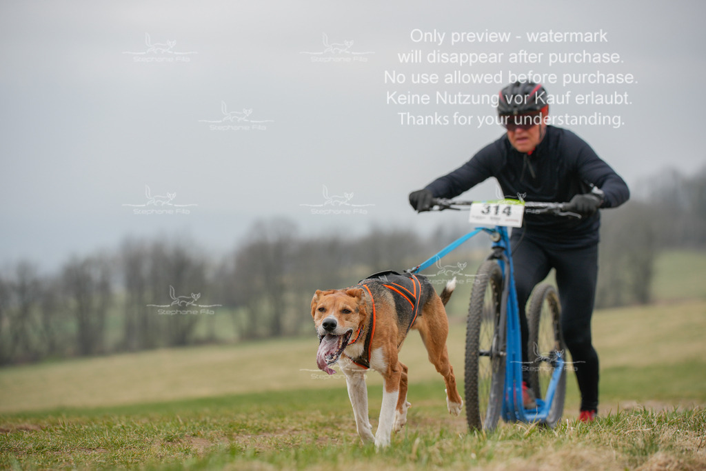 ScooterSA-60 | stephaniefillaphotographie - Realisiert mit Pictrs.com