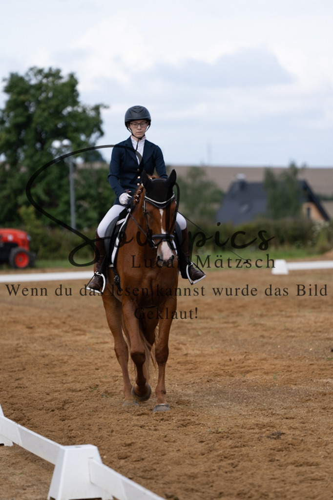 A7V03798 | Pferdefotograf