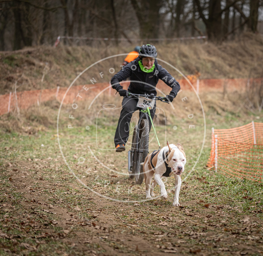 Pfotenfotografie_DV3A6787 | Hundefotografie, Tierfotograf, Pfotenfotografie, Fotoshooting Hund, Hunde Portrait, Hundesport, Hundeportraits, Heideshooting, Hunde, Sportfotograf, Hundefotograf, Turnierhundsport, THS,  - Realisiert mit Pictrs.com