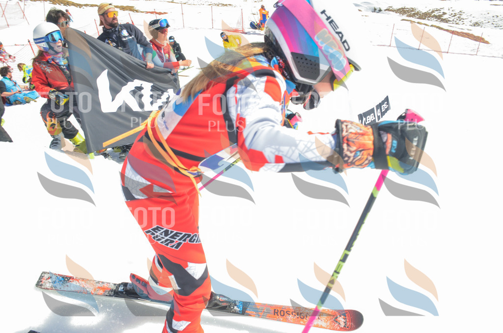 _ELE6102 | holidayphoto