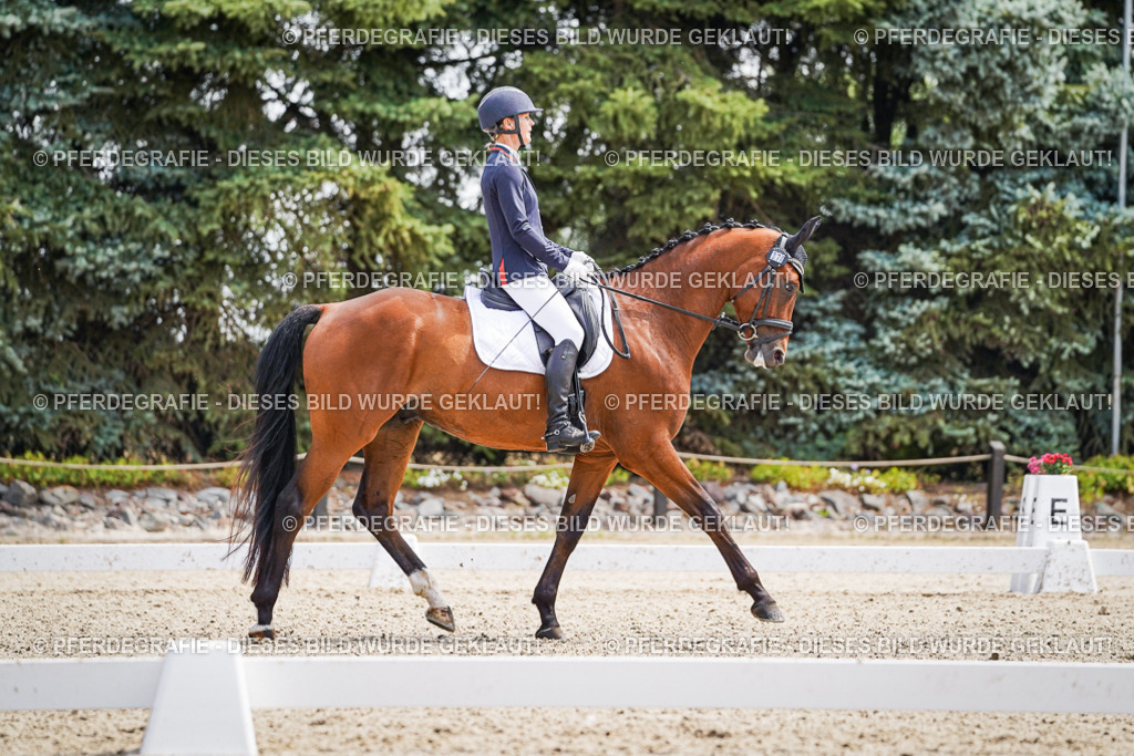 DSC00206 | Pferdegrafie