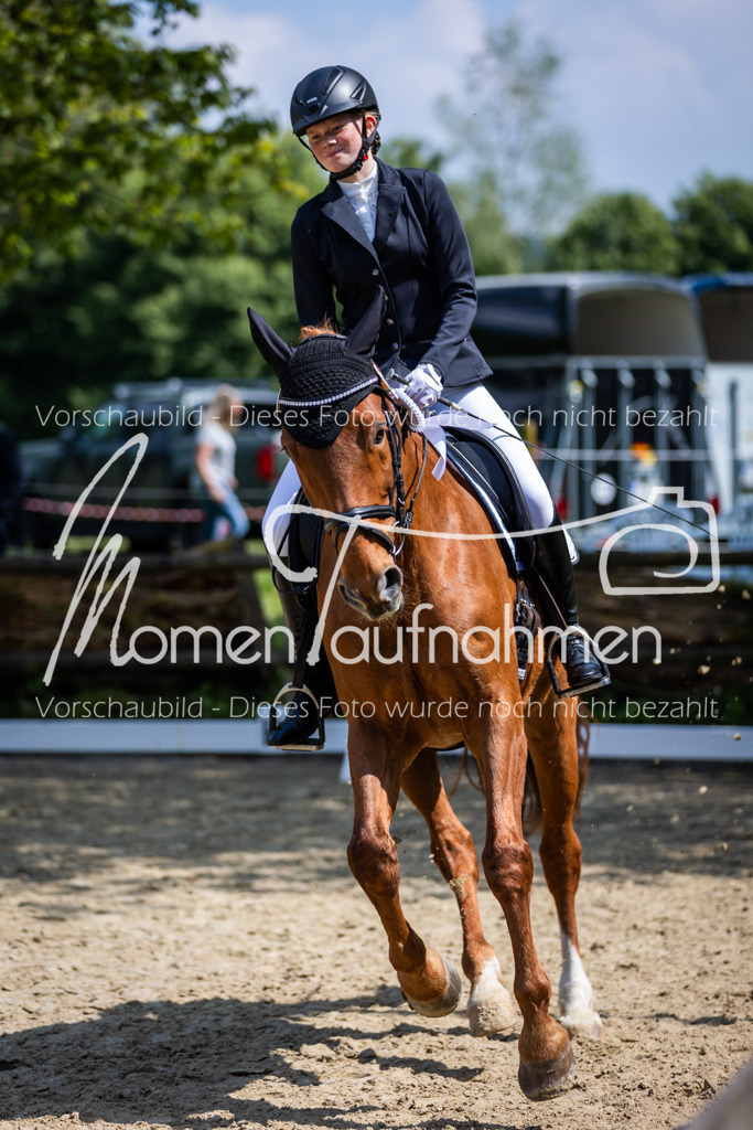 Donop24-EDre-070 | MomenTaufnahmen Pferdesportfotos