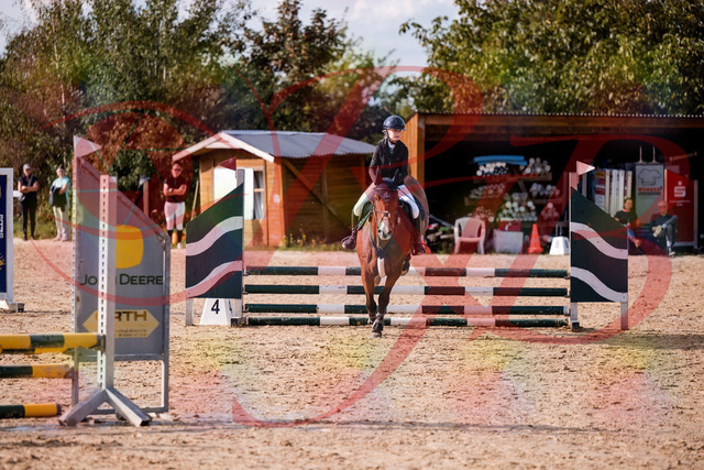 2026_10_03_Siefer-Hof_154649_Z81_65730639 | Professionelle Reitsport-, Turnier- und Eventfotografie von Robert Broda. Galerien mit ausgewählten und bearbeiteten Bildern direkt online ansehen und bestellen.