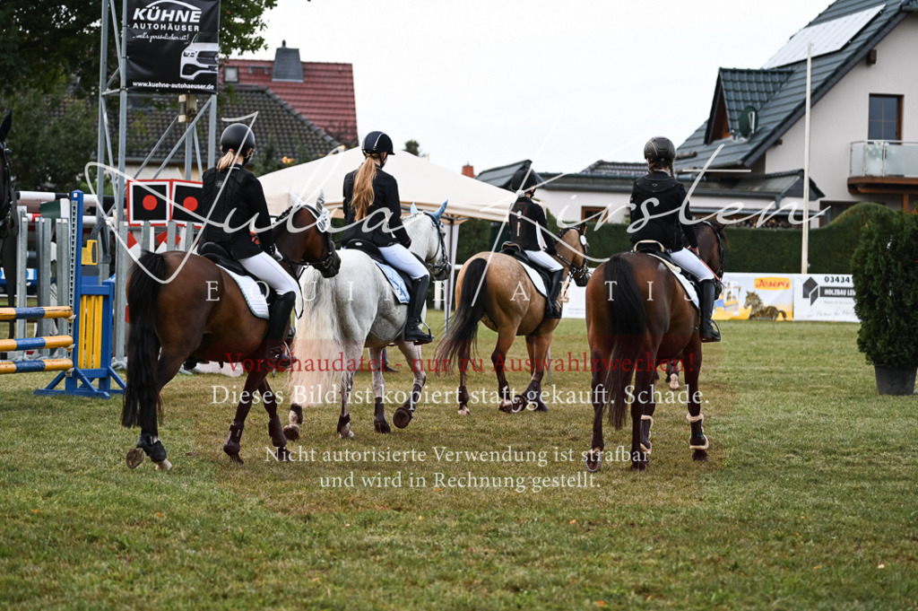 DSC_5753-2 | Pferde- und Turnierfotografie in Westsachsen. Pferdeportraits, Auftragszeichnungen und intuitive Kunst.