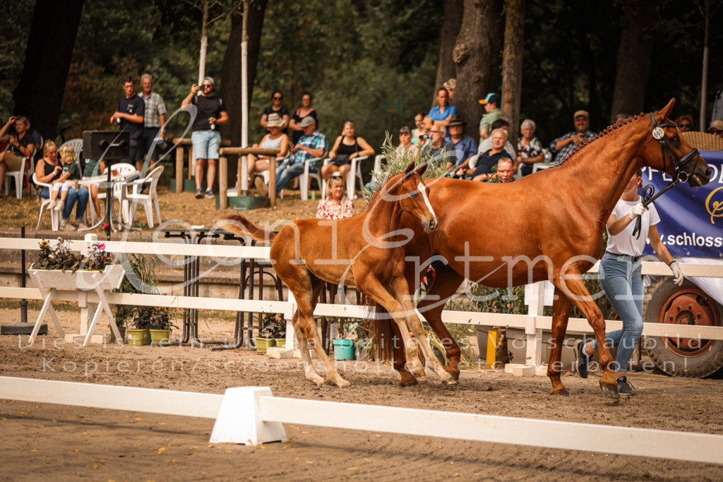 SaPA00103 | Leoni Ertmer Photography - Realisiert mit Pictrs.com