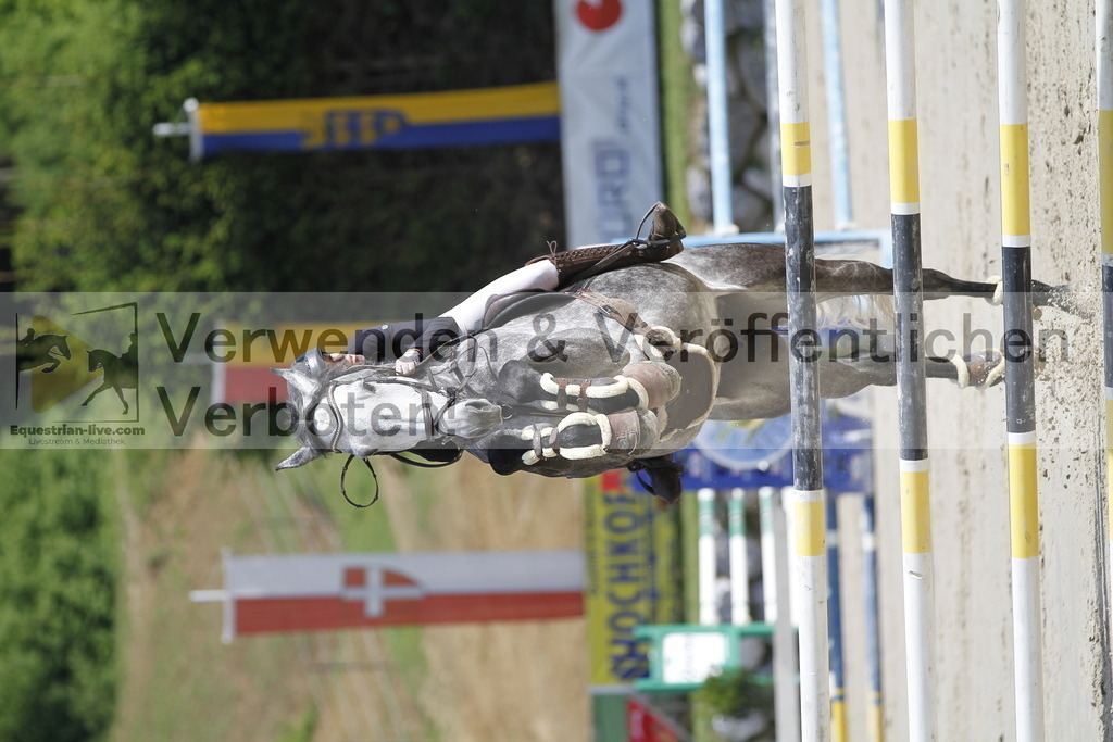 _MG_8619 | equestrian-live-com