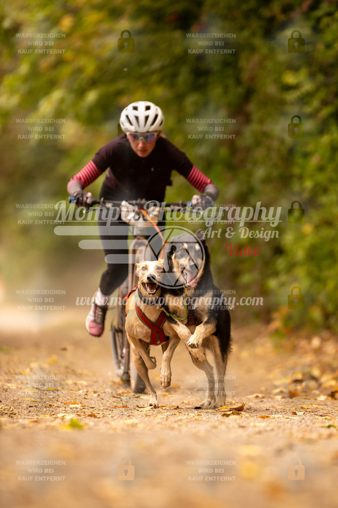 CDLBDB_14_10_2023_Samedi-31 | PayLife