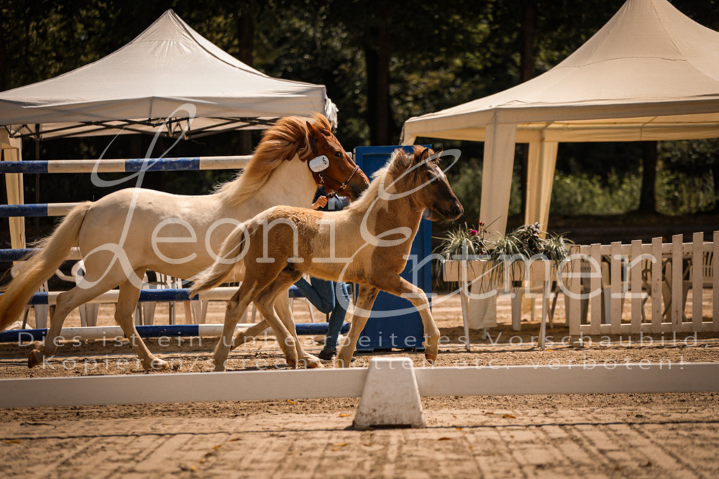 02.DoSR00009 | Leoni Ertmer Photography - Realisiert mit Pictrs.com