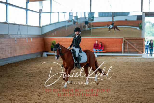 _62_6345 | Turniersportfotografie; Pferdefotografie; Dressurfotografie