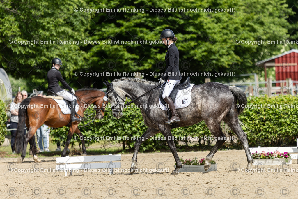 CL5A0750 | Emilia Reinking Fotografie - Realisiert mit Pictrs.com