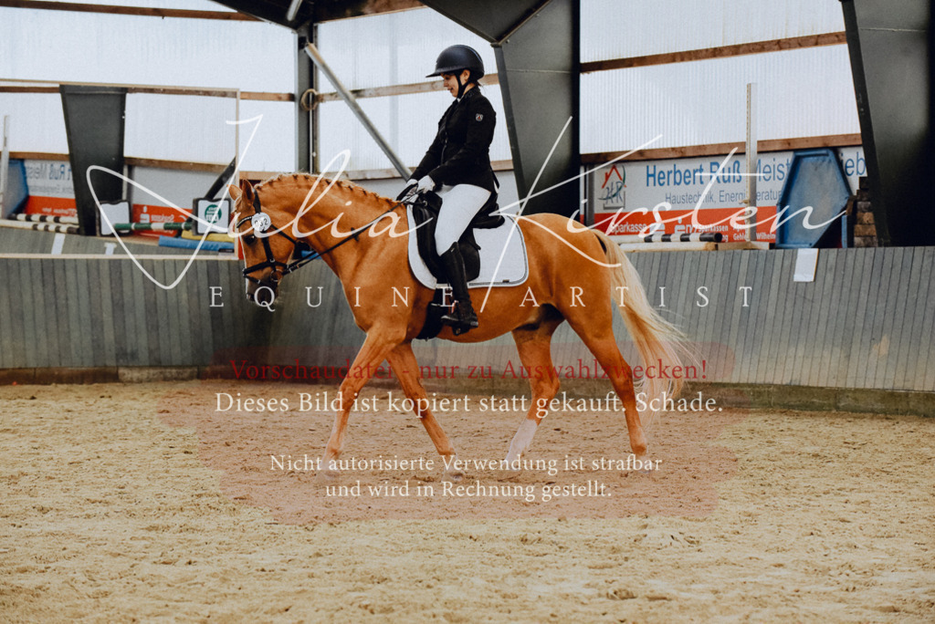 DSC_7251 | Pferde- und Turnierfotografie in Westsachsen. Pferdeportraits, Auftragszeichnungen und intuitive Kunst.