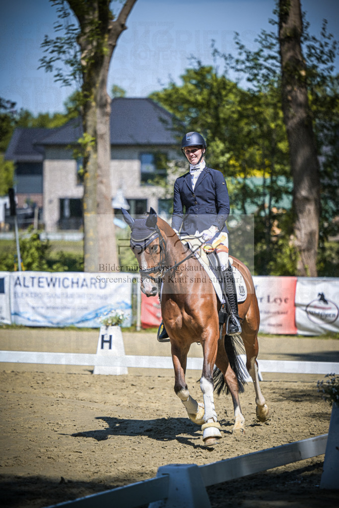 DOS_6727 | Entdecke hochwertige Reitturnierfotos von Foto Oger. Professionell, emotional und authentisch – jetzt Lieblingsmomente im Shop bestellen.Deutschlandweite Turnierfotografie. - Realisiert mit Pictrs.com