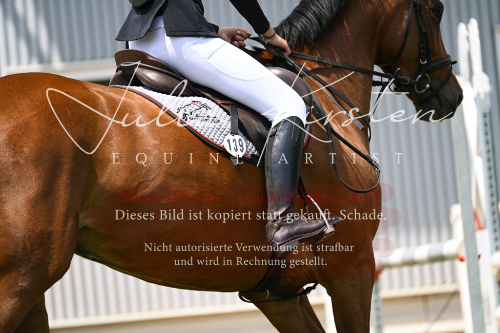 DSC_9271 | Pferde- und Turnierfotografie in Westsachsen. Pferdeportraits, Auftragszeichnungen und intuitive Kunst.
