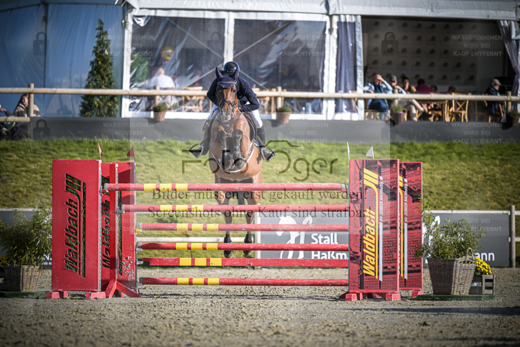 DOS_1533 | Entdecke hochwertige Reitturnierfotos von Foto Oger. Professionell, emotional und authentisch – jetzt Lieblingsmomente im Shop bestellen. - Realisiert mit Pictrs.com
