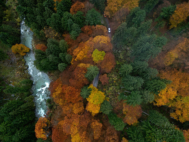 Foresta dei Bagni di Masino Drone | Shop von Iris Steger Photography, Landschaft, Reisen, Details und Städte.