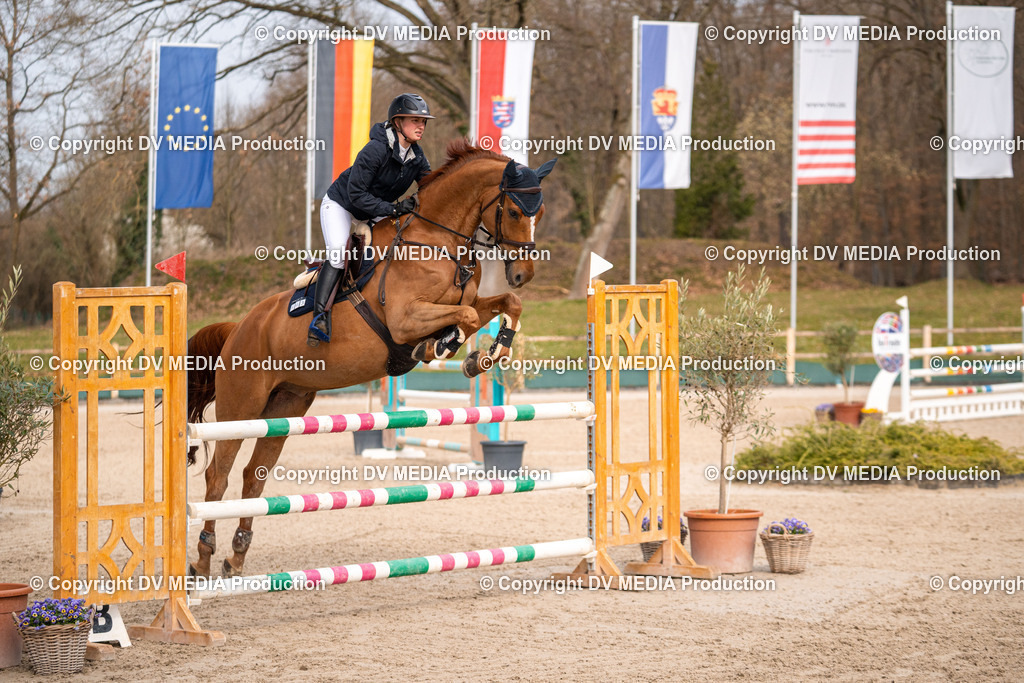 Kranichstein Tag 2-1614 | dv-media-shop - Realisiert mit Pictrs.com