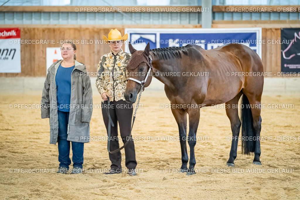 DSC09871 | Pferdegrafie