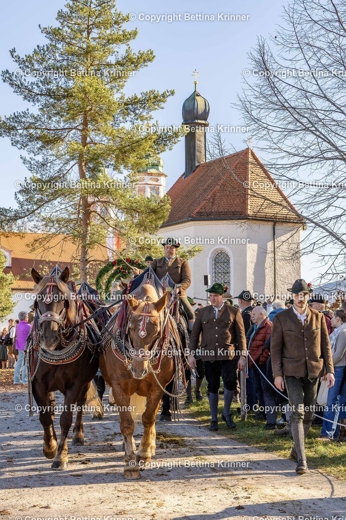 LBT25-1150 | foto-bettina-krinner - Realisiert mit Pictrs.com