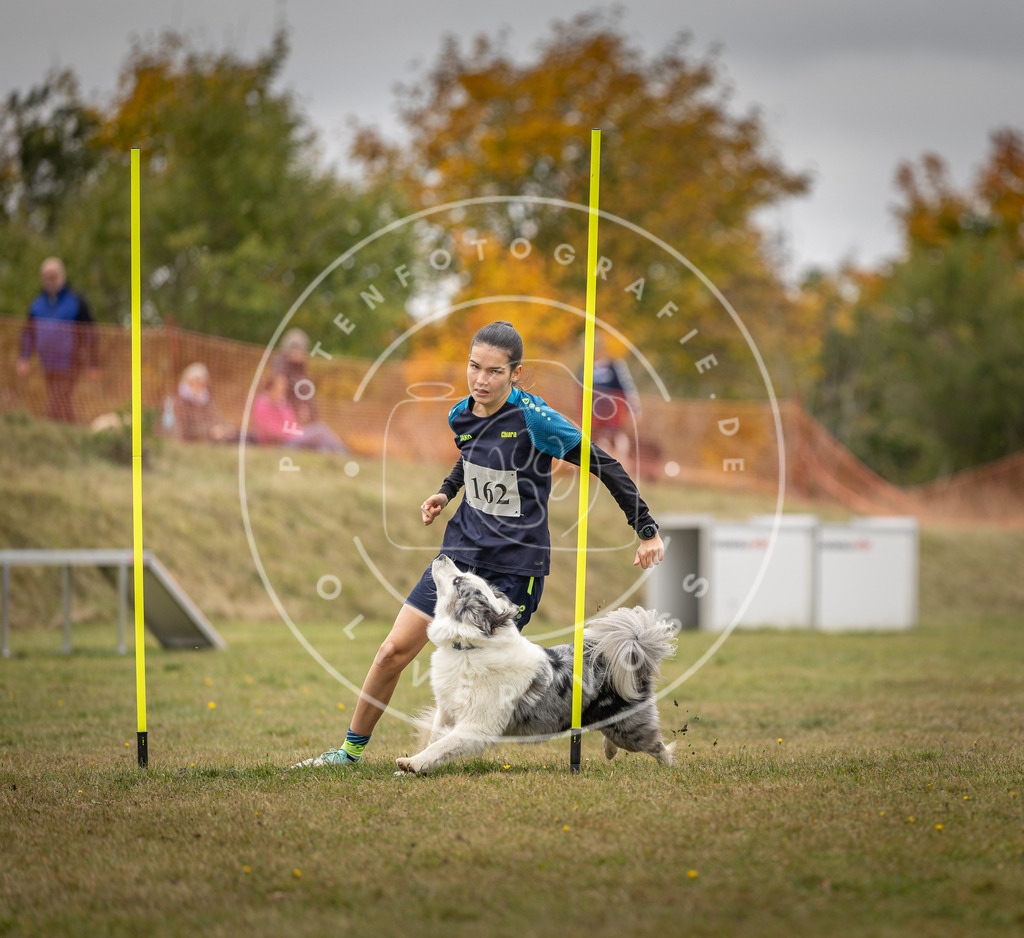 Pfotenfotografie_DV3A5155 | Hundefotografie, Tierfotograf, Pfotenfotografie, Fotoshooting Hund, Hunde Portrait, Hundesport, Hundeportraits, Heideshooting, Hunde, Sportfotograf, Hundefotograf, Turnierhundsport, THS,  - Realisiert mit Pictrs.com