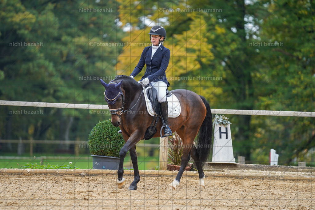 20221007-FAH09791 | Diessen am Ammersee, 2022, Dressur- und Springturnier, Reitsportbilder, Turnierfotografen Bayern, Pferdefotografen, Fotoagentur Herrmann, Turnierbilder