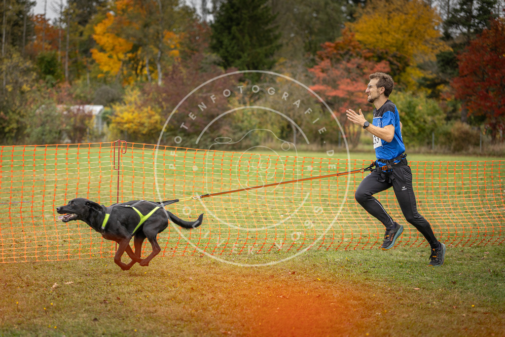 Pfotenfotografie_DV3A4351 | Hundefotografie, Tierfotograf, Pfotenfotografie, Fotoshooting Hund, Hunde Portrait, Hundesport, Hundeportraits, Heideshooting, Hunde, Sportfotograf, Hundefotograf, Turnierhundsport, THS,  - Realisiert mit Pictrs.com