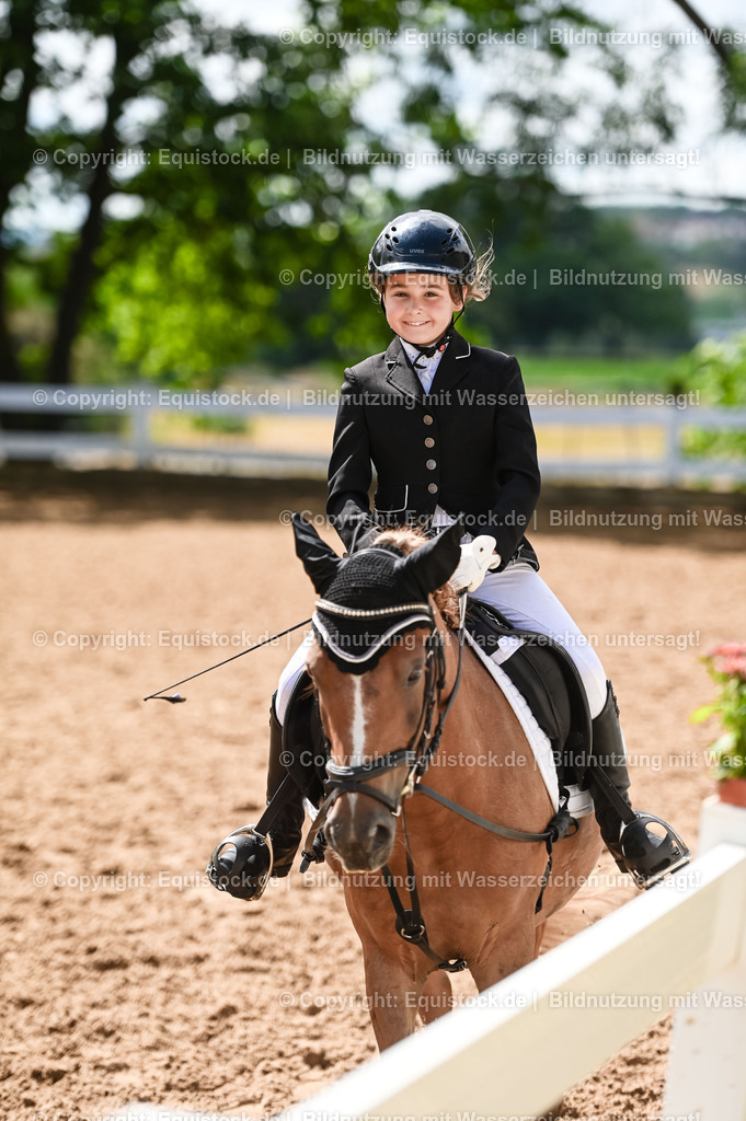 20230716_10-3_Reiter-WB Schritt - Trab - Galopp_0036 | equistock