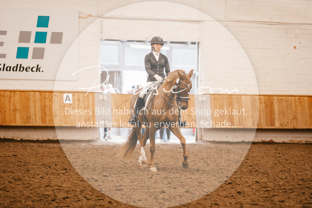 3I6A3143 | Stimmungsvolle Portraits und Reitsportfotografie im Ruhrgebiet und im Münsterland.

Pferdefotografie, Hundefotografie, Tierfotografie, Reportagen, Portraits von Tier und Mensch, Turnierfotografie in Bochum, Recklinghausen, Marl, Haltern am See, Dülmen.. - Realisiert mit Pictrs.com