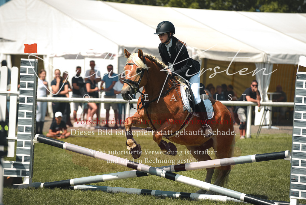 DSC_9950 | Pferde- und Turnierfotografie in Westsachsen. Pferdeportraits, Auftragszeichnungen und intuitive Kunst.