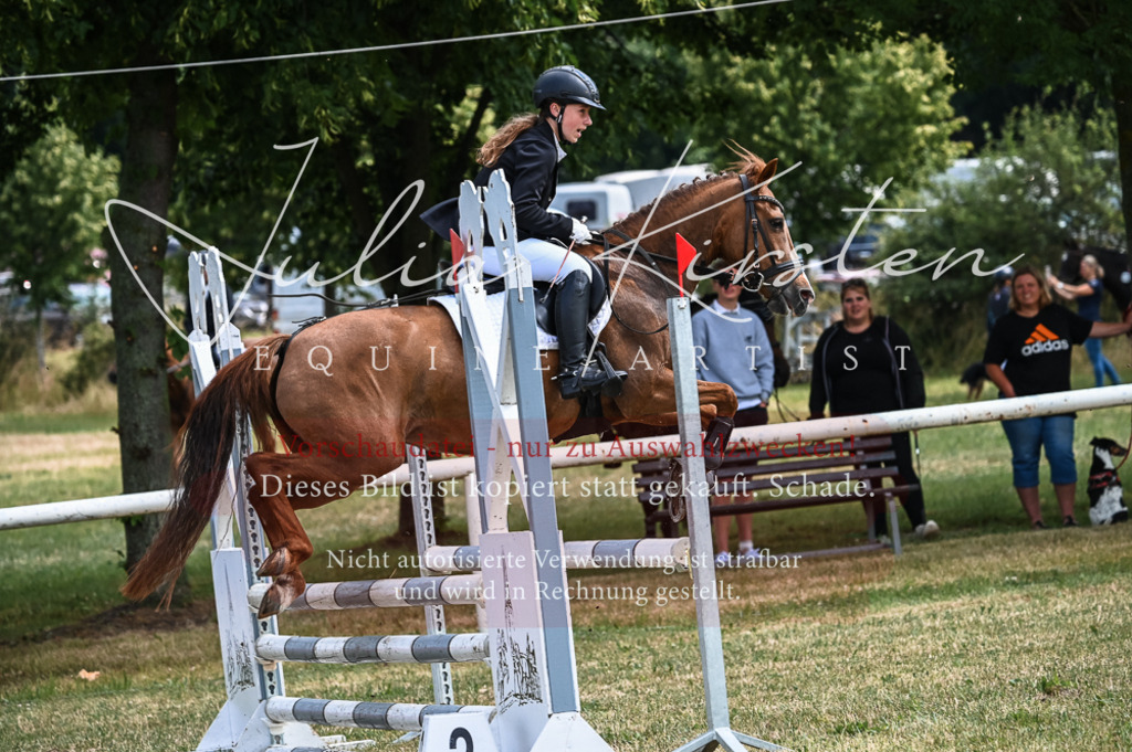DSC_8576 | Pferde- und Turnierfotografie in Westsachsen. Pferdeportraits, Auftragszeichnungen und intuitive Kunst.