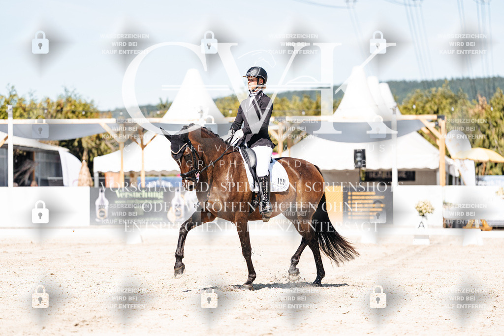 CK909753 | Turnierfotografie Pferdefotografie Trier Rheinland-Pfalz Pferdesport Reitsport Tierfotografie Sportfotografie Pferdevideo Pferdevideografie Equestrianvideography equestrianphotography  - Realisiert mit Pictrs.com